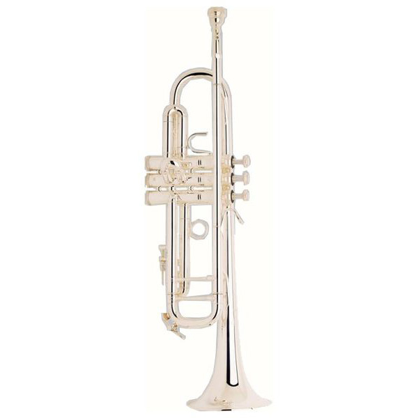 18043 (XL) Stradivarius - 105593р.